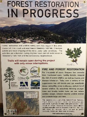 Forest Restoration Project 