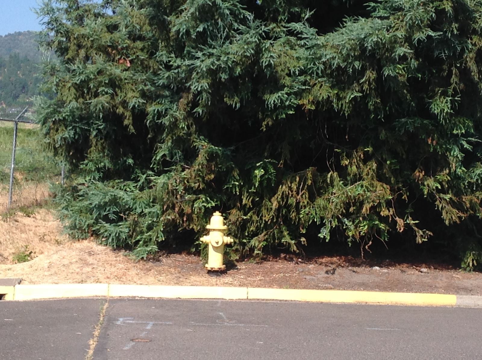 Example hydrant After