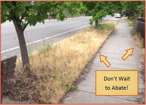 don't wait to abate sidewalk