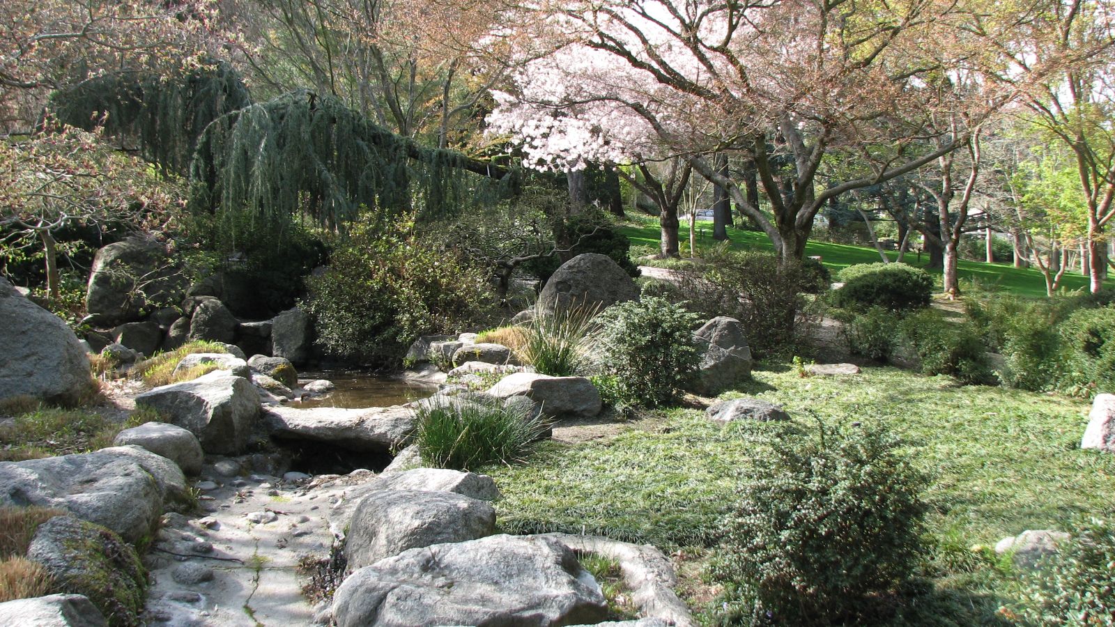 Japanese Garden in Lithia Park 
