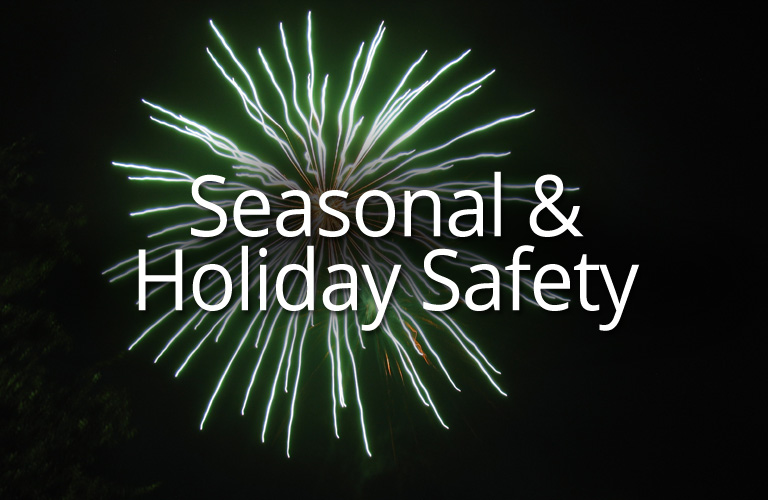 Seasonal & Holiday Safety