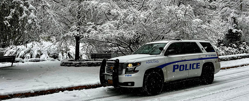 Patrol Car in Snow