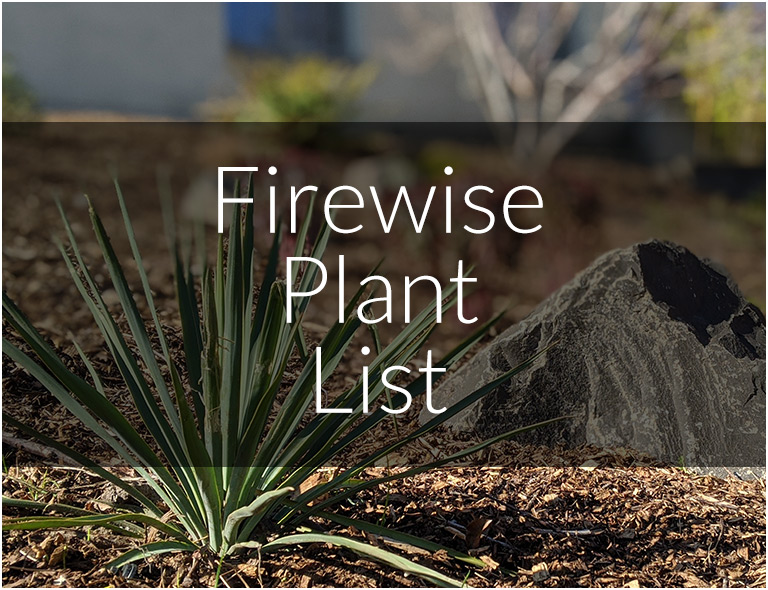 Firewise Friendly Plants
