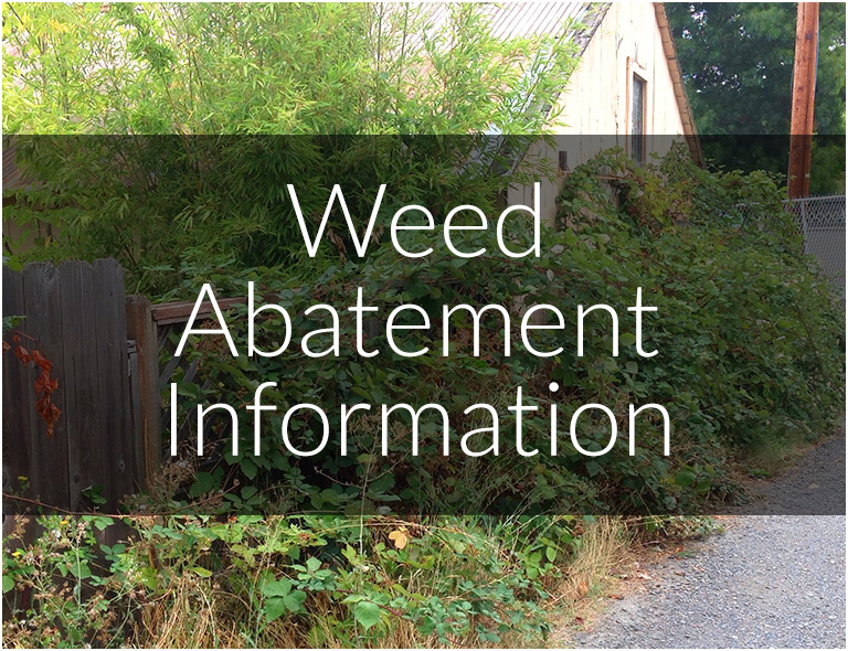 Weed Abatement Information
