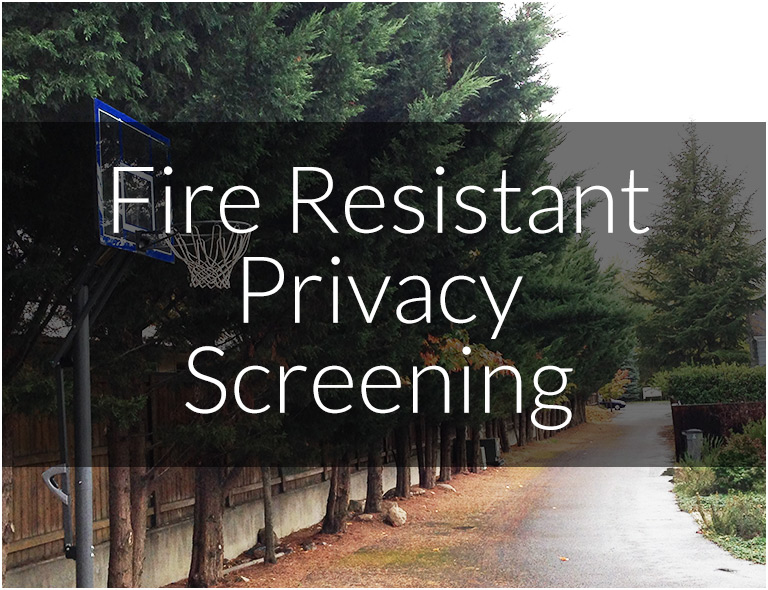 Privacy Screening Options