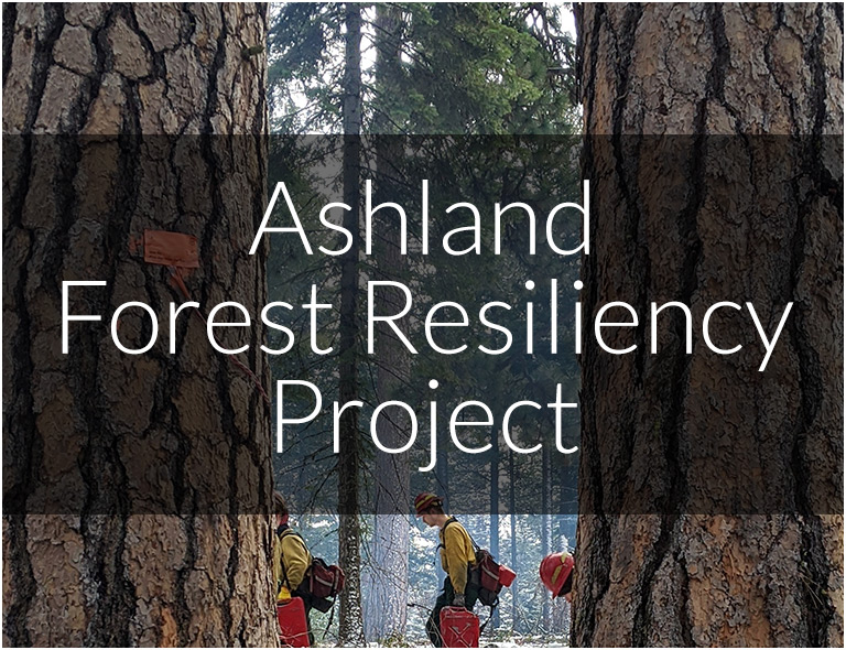 Ashland Forest Resiliency Project