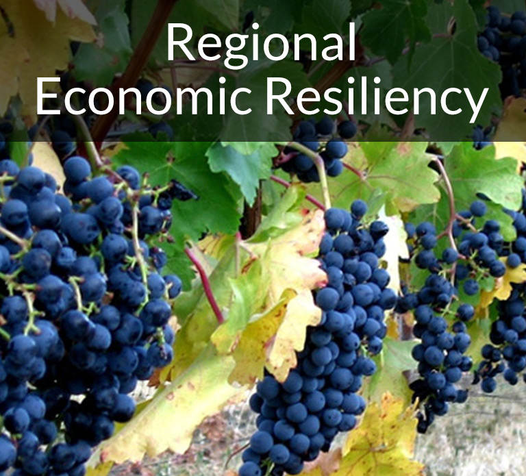 Regional Economic Resiliency