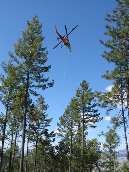 Helicopter logging in the Ashland Watershed 