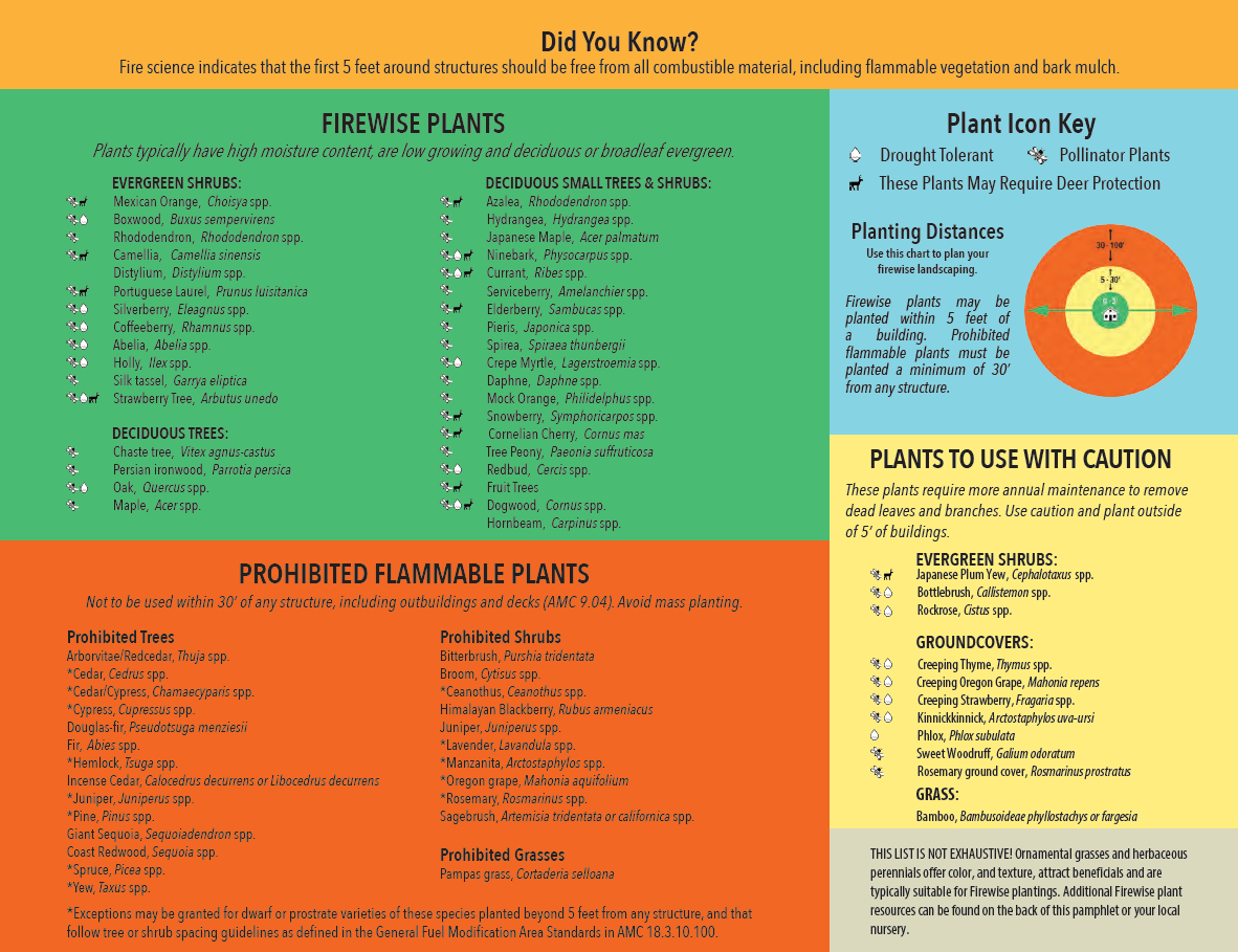Firewise Plant list capture