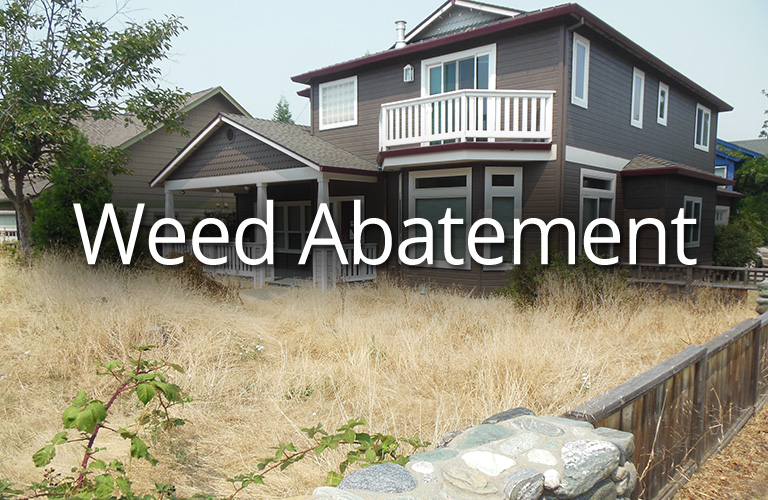 Weed Abatement