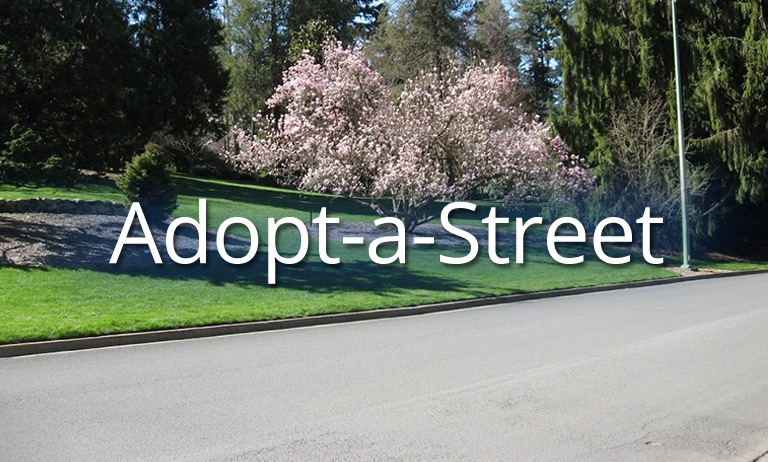Adopt-a-Street