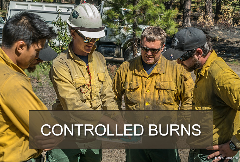 CONTROLLED BURNS