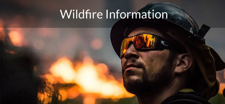 Wirdfire Information